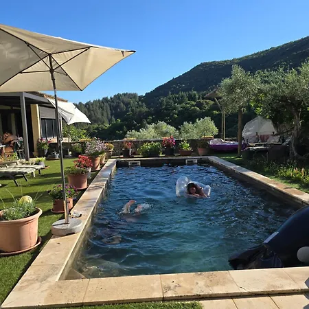 Piscine Cevennes Saint-André-de-Majencoules