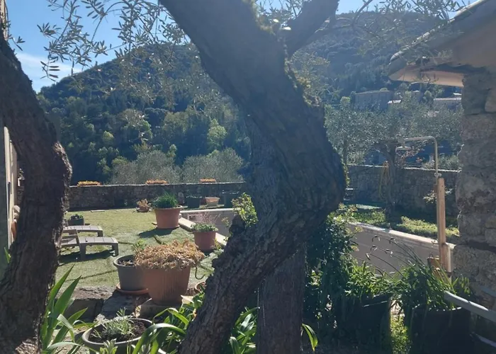 Piscine Cévennes Saint-André-de-Majencoules